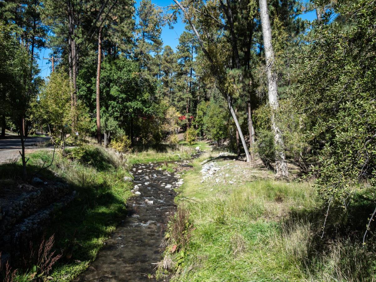 Sleeping Bear, 2 Bedrooms, Front Deck, Midtown, Sleeps 6 Ruidoso Buitenkant foto