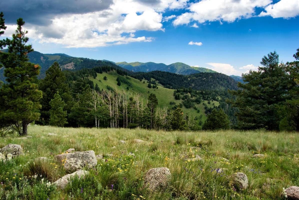 Sleeping Bear, 2 Bedrooms, Front Deck, Midtown, Sleeps 6 Ruidoso Buitenkant foto